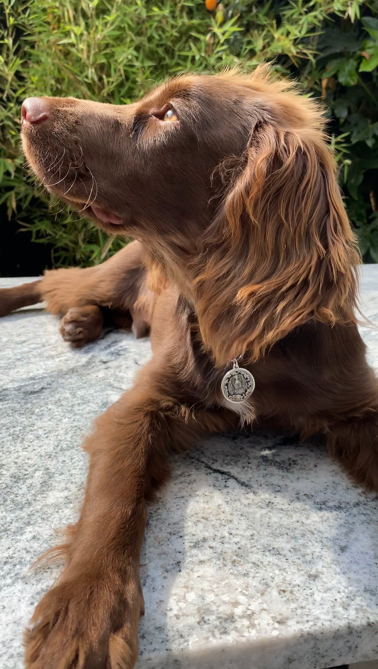Spaniel Pendant